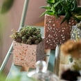 thumbnail image 4 of Cement Planter in Various Shape Colors and Sizes, 4 of 5