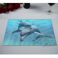thumbnail image 2 of ABPHQTO Juego de 2 manteles individuales de mesa con delfines 30x45 cm, 2 of 2