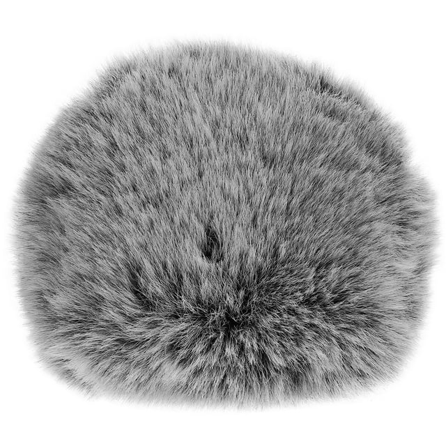 MIANGASTORE Filtre Pop en Fourrure Pare-Vent Couverture de Micro Accessoire de Microphone