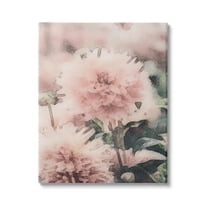 Stupell Industries Dainty Pink Flower Blossom Sprouts Closeup Petals Canvas Wall Art, 16 x 20, Design by Amy Brinkman