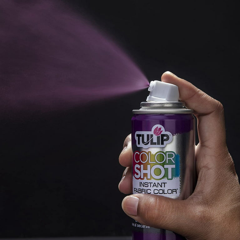 Tulip ColorShot Instant Fabric Spray – Tulip Color Crafts
