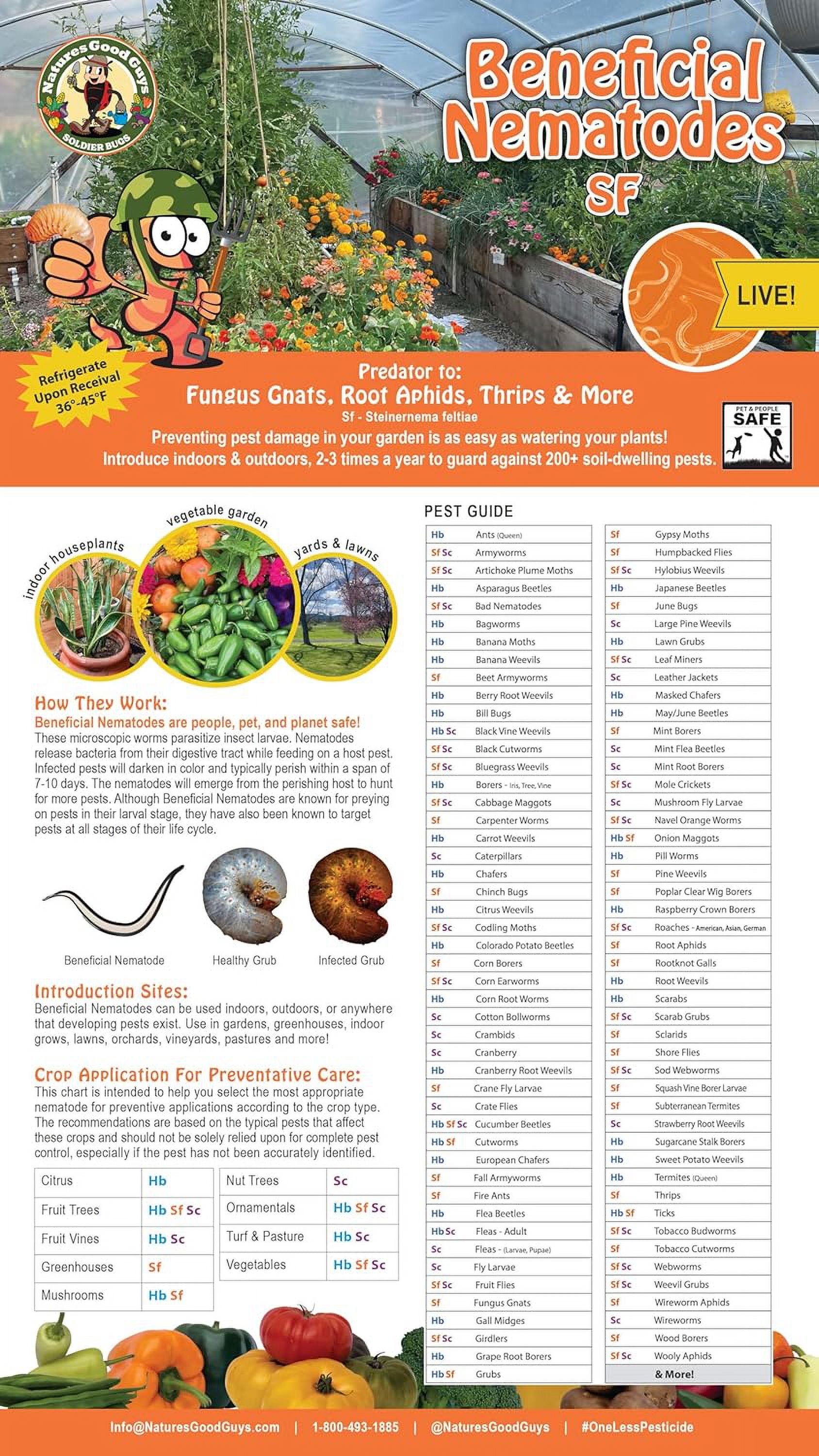 Beneficial Nematodes Steinernema Feltiae SF (25 Million) Fungus gnat