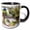 Black/White, variant on 3drose, Mating Pair of Painted Bunting Birds - Us10 Bfr0062 - Bernard Friel, 11oz Magic Transforming Mug