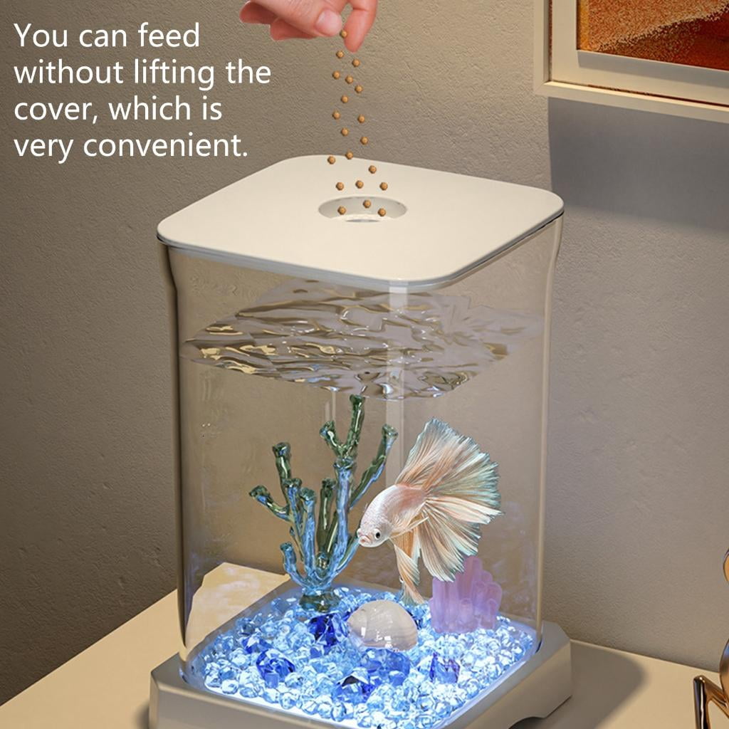 Giaone Shatterproof Fish Tanks Small Desktop Fish Tanks Decoration Desktop Aquariums for Home Or Workspaces