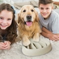 thumbnail image 4 of Slow Feeder Dog Bowls for Small Medium Breeds, Puzzle Anti Cat Food Bowls, Interactive Pet Feeding Dishes to Prevent Choking and Bloating, Slow Down Eating Bowls for Dogs and Cats, 4 of 4