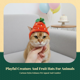 thumbnail image 3 of Abbraccia Sombrero de cosplay para gato, fiesta, suave, fácil de usar, 3 of 6