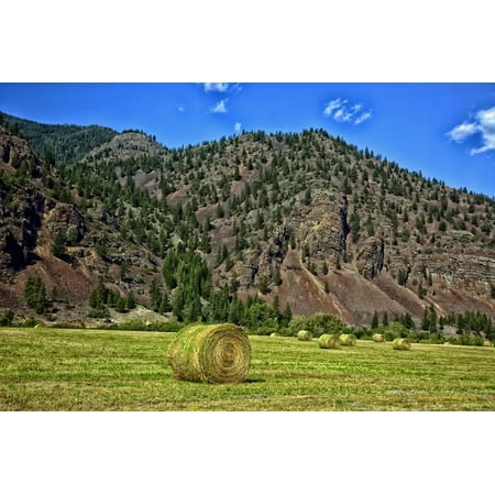 Canvas Print Mountains Farm Montana Scenic Hay Bales Landscape Stretched Canvas 10 x