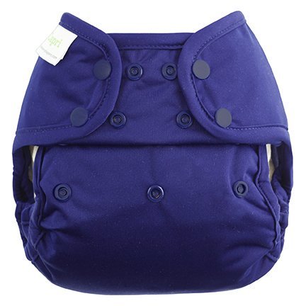 blueberry diaper laundry bag