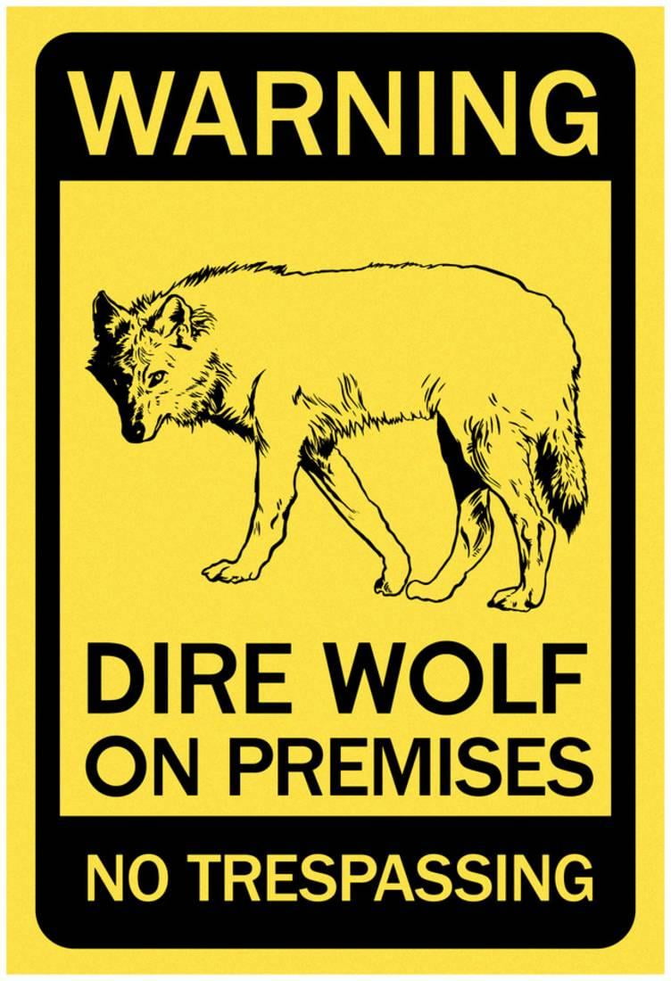 Dire Warning by Mary Rundle Dire Warning by Mary Rundle