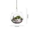 thumbnail image 4 of Glass Hanging Terrarium Set Of 3 In Large Size- Succulent/Moss/Air Plant Terrarium - 3, 4 of 6