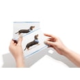 thumbnail image 4 of Dachshund Greeting Cards - Watercolor Dog Cards Set of 12 with Envelopes, 4 of 6