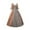 Coffee, variant on Medieval Vintage Dresses for Women Plus Size Fashion Womenl Vintage Gothic Court Gown Cake Skirt Lace Clashing Dress