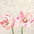 thumbnail image 3 of Jenny, Thomlinson 15x15 Black Modern Framed Museum Art Print Titled - Classic Tulips II, 3 of 5