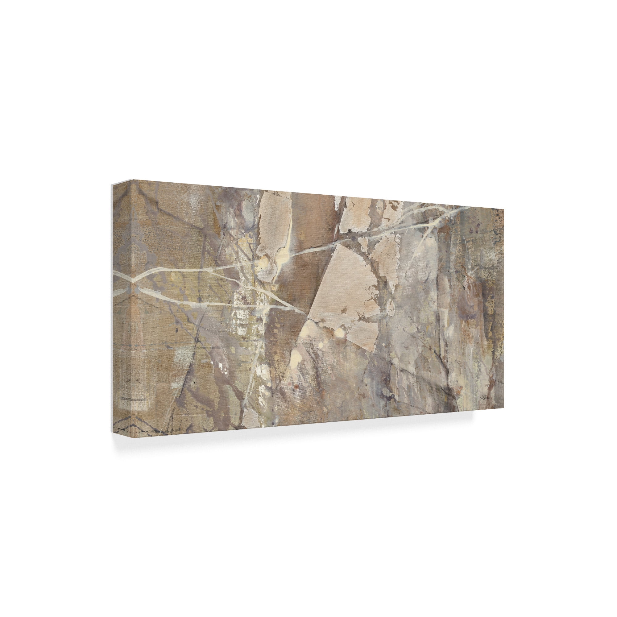 Trademark Fine Art 'Silver II Crop' Canvas Art by Albena Hristova