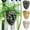 3Pcs Hanging Face Planter Under $5 a1, variant on Tusihei Hanging Face Planter, Long Lasting Resin Head Wall Planter, Unique Hanging Plant Vase for Indoor Outdoor Home Porch Balcony Kitchen Decor
