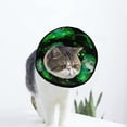 thumbnail image 1 of Grenouille Doux Chat Chien Récupération Collier Réglable Chat Cône Cicatrisation Cicatrisation après la Chirurgie pour Chiot, 1 of 7