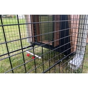 Coop DeVille Chicken Coop With 4' X 4' X 48 Tall Run (Basic)