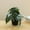 Green, variant on Pklyzj Clearance Simulation Alocasia Macrorrhizos Pot Home Living Room Decoration Pot Fresh Small Green Plant Fake Plants Grocery & Essentials