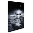 thumbnail image 3 of Trademark Fine Art "Emotional High" Canvas Art by Philippe Sainte-Laudy, 3 of 4