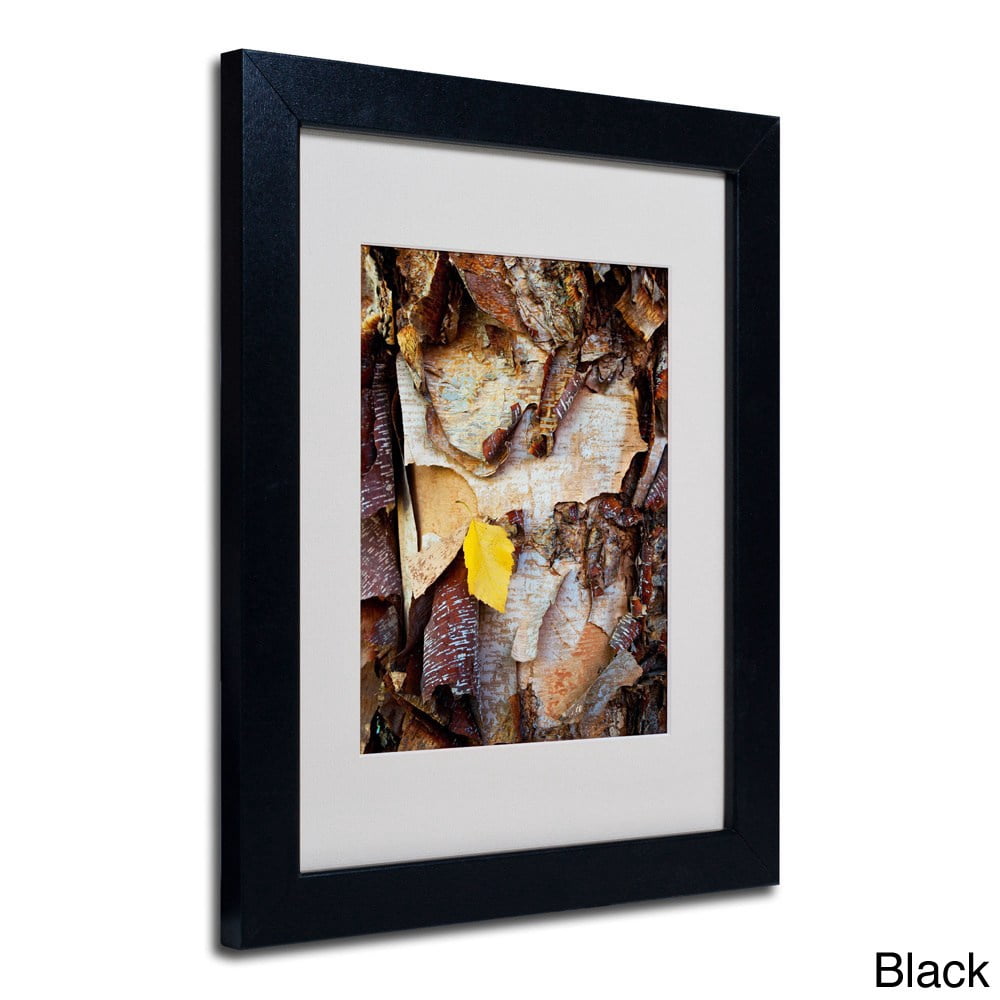 Trademark Fine Art "Birch Leaf" Canvas Art by Kurt Shaffer, Wood Frame