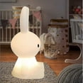 thumbnail image 3 of Luz de noche LED, juguete de iluminación para niños, decoración de habitación de conejo, luz de noche colorida, adecuada para regalos para niños, decoración del hogar, lámpara de noche, Ra, 3 of 5