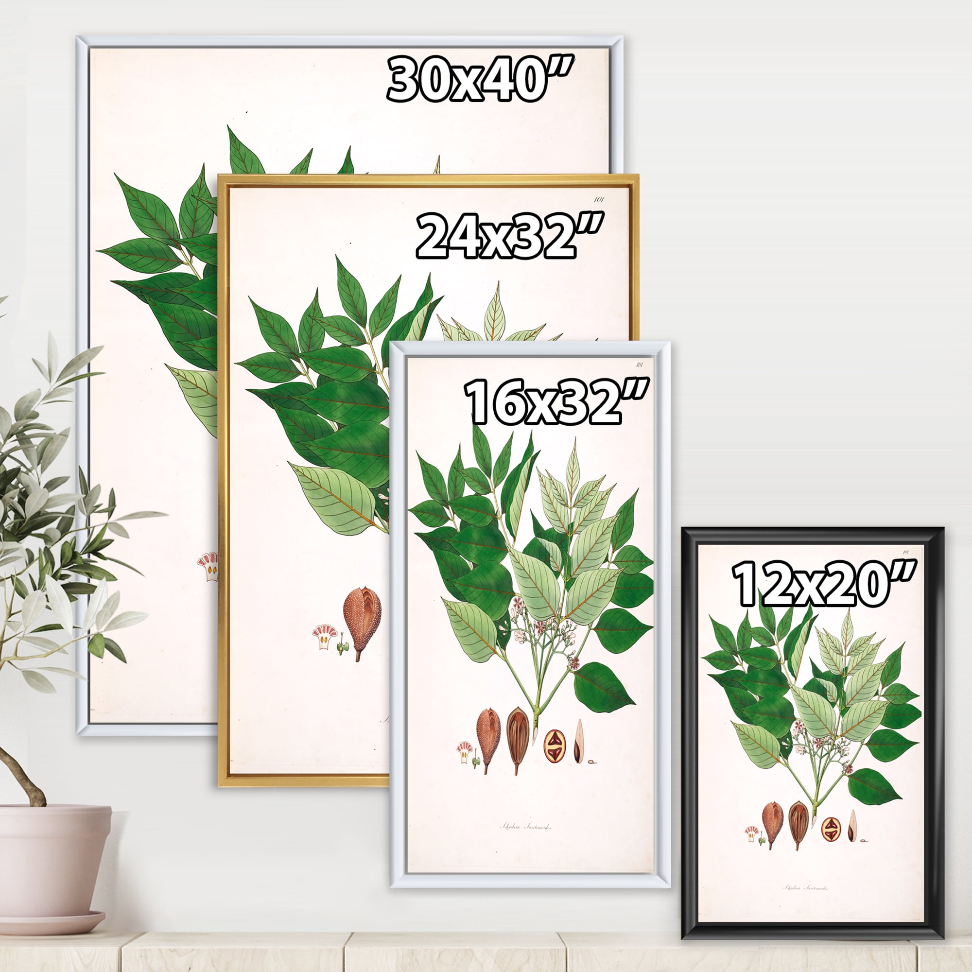 Designart 'Ancient Plant Life XII' Farmhouse Framed Canvas Wall Art Print