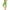 19-Green, variant on successthop Pull on Capris for Women Workout Trousers Stretchy Yoga Capris Running Mid Waisted Straight Leg Pedal Pushers Capris Pants Casual Pull on Elastic Waistband Trousers w Pockets Comfy 2024