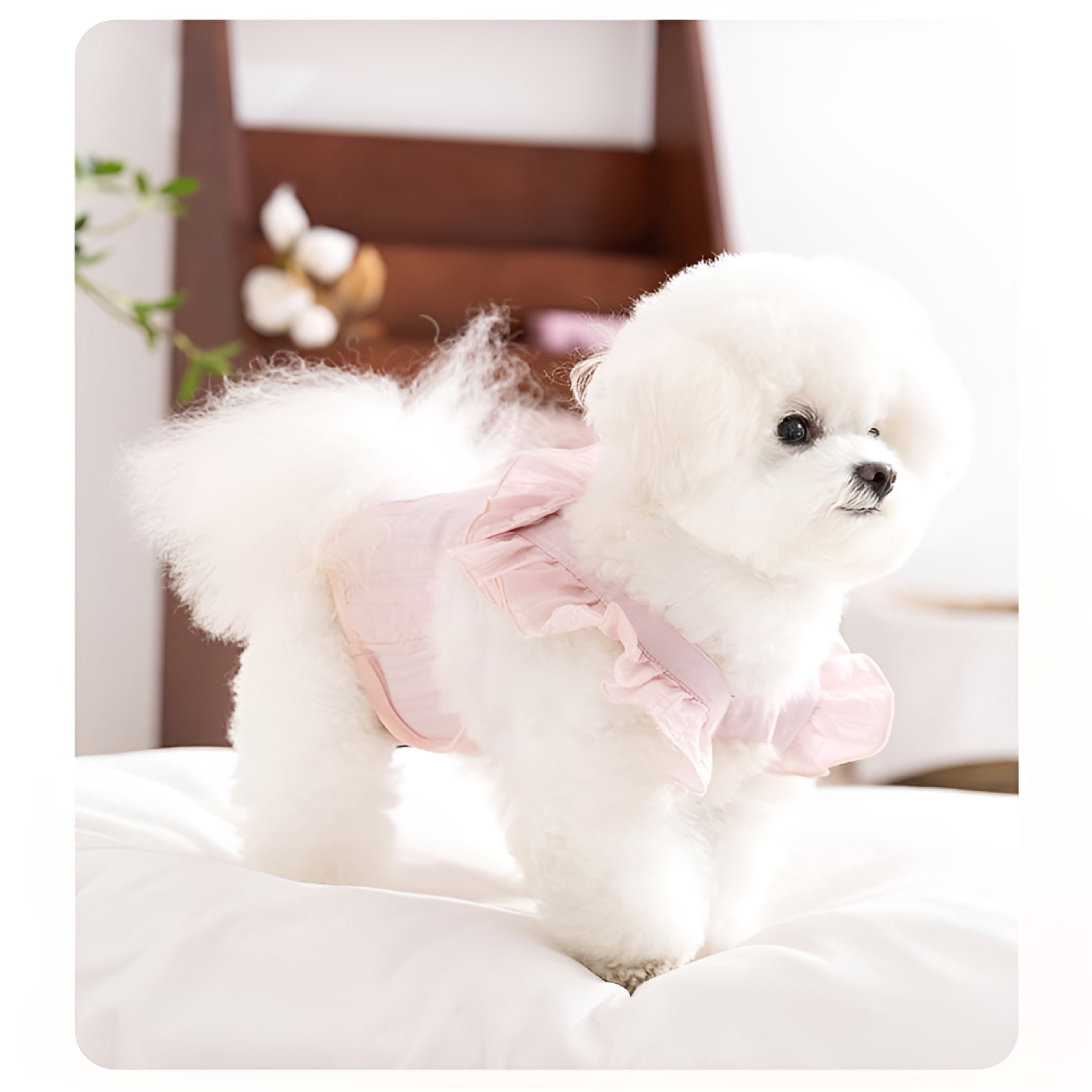 OITY 3 Pack Female Dog Menstrual Diapers - Heat Cycle Sanitary Pants, Breathable Striped Jacquard Fabric Doggie Diapers for Female Dogs