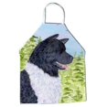 thumbnail image 1 of Carolines Treasures SS8670APRON Tablier - 27 x 31 Po., 1 of 4