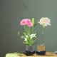 thumbnail image 3 of Kenzan redondo, 2 piezas de cobre y acero inoxidable, accesorios para arreglos florales, flor Kenzan True Excellence, 3 of 10