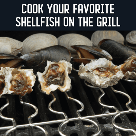 Steven Raichlen Stainless Seafood Rack, Silver