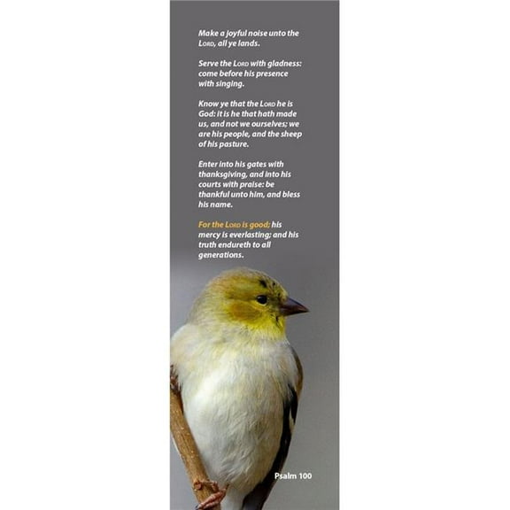 B&H Publishing 319732 Make A Joyful Noise Unto The Lord All Ye Lands Bookmark - Pack of 25