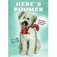 thumbnail image 1 of Here's Boomer: Season 1 [DVD] Full Frame, 2 Pack, NTSC Format, 1 of 1