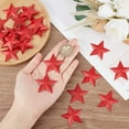 thumbnail image 3 of 30PCS 1.6" Red Metal Star Decor Barn Star with Hole Iron Vintage Wall Arts Hanging Wall Decors for Crafts House Christmas Independence Day Indoor Outdoor DIY Handmade Accent DIY, 3 of 9