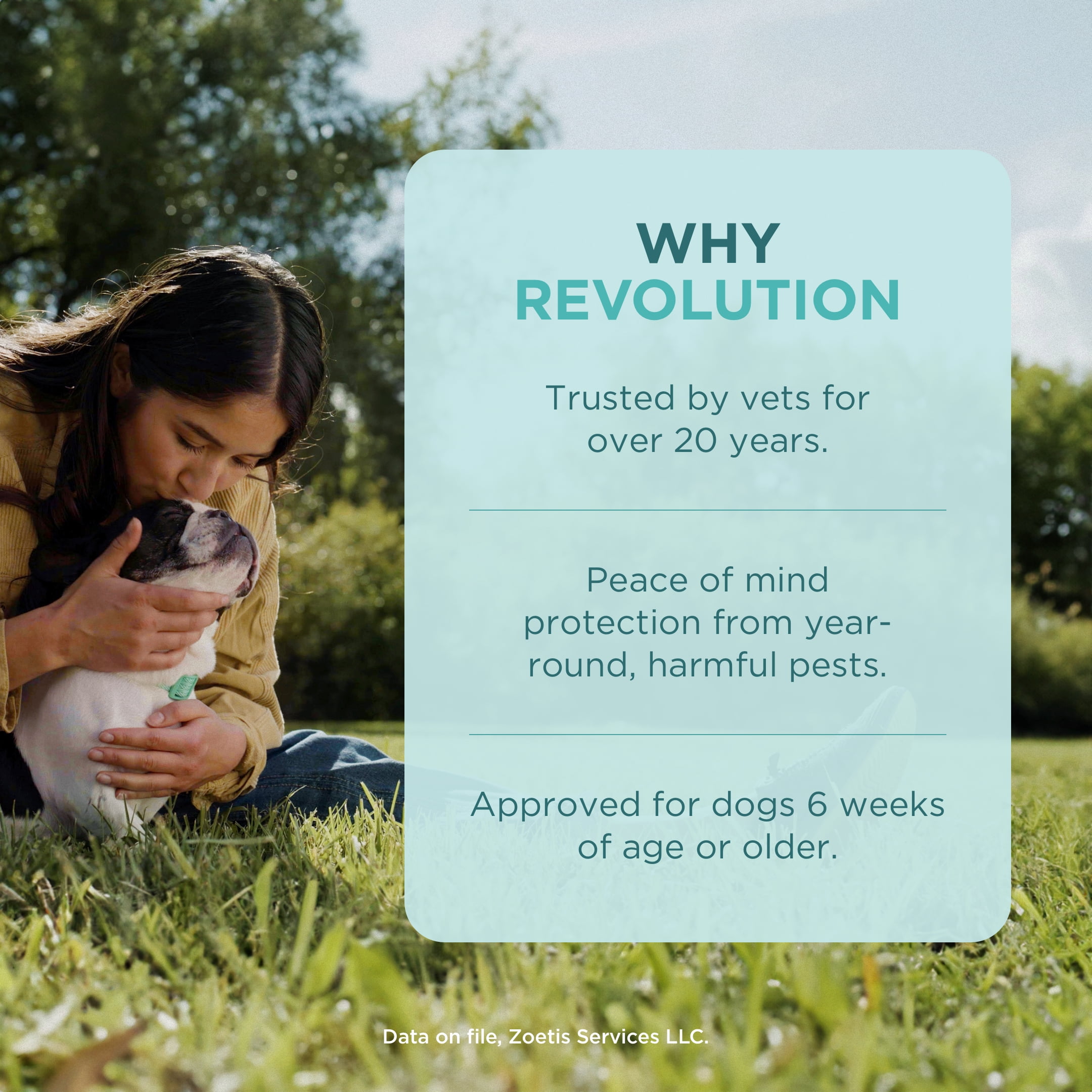 Revolution (Selamectin) Topical for Dogs, 20.1-40 lbs. (Red Box), Protection Against Parasites, Flea and Tick Prevention