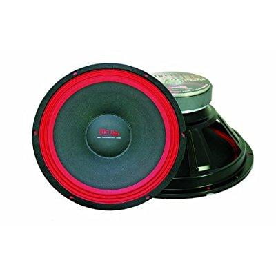 PA110 10" 400-Watt Subwoofer, Black/Red