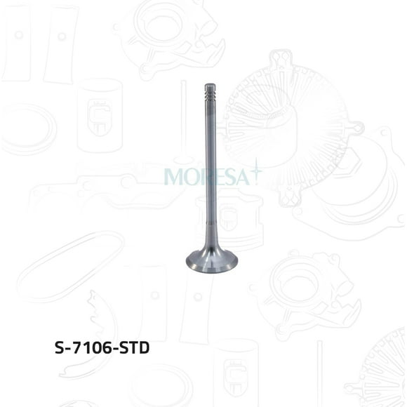 Valvula Escape Moresa Para Audi A3 1998 - 2004 (Moresa)
