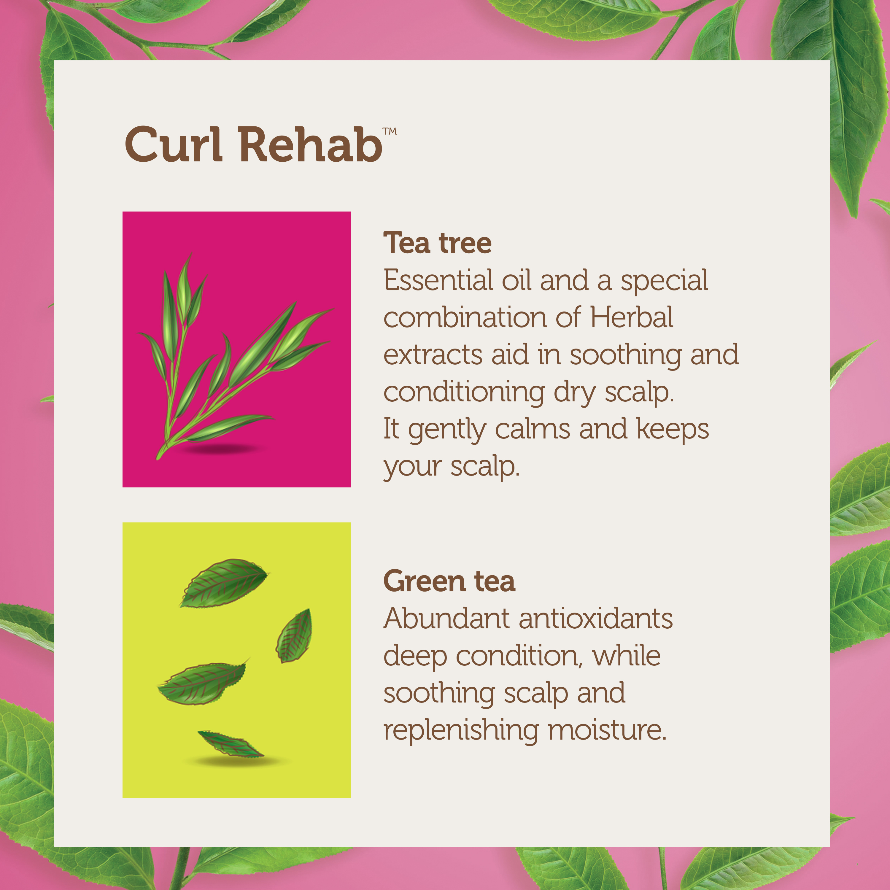 Curl Rehab: Scalp Recovery Dual Treatment Packette - Tea Tree Oil & Green Tea packette for scalp recovery 4.8 Oz