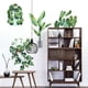 thumbnail image 4 of Adhesivo de pared con planta en maceta verde, decoración elegante para dormitorio y sala de estar, 4 of 9