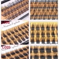 thumbnail image 2 of QSTY 3DFluffy, pestañas postizas de un solo grupo, ventiladores de volumen prefabricados, pestañas individuales segmentadas, pestañas postizas naturales para extensión de ojos Tan Jianjun unisex, 2 of 2