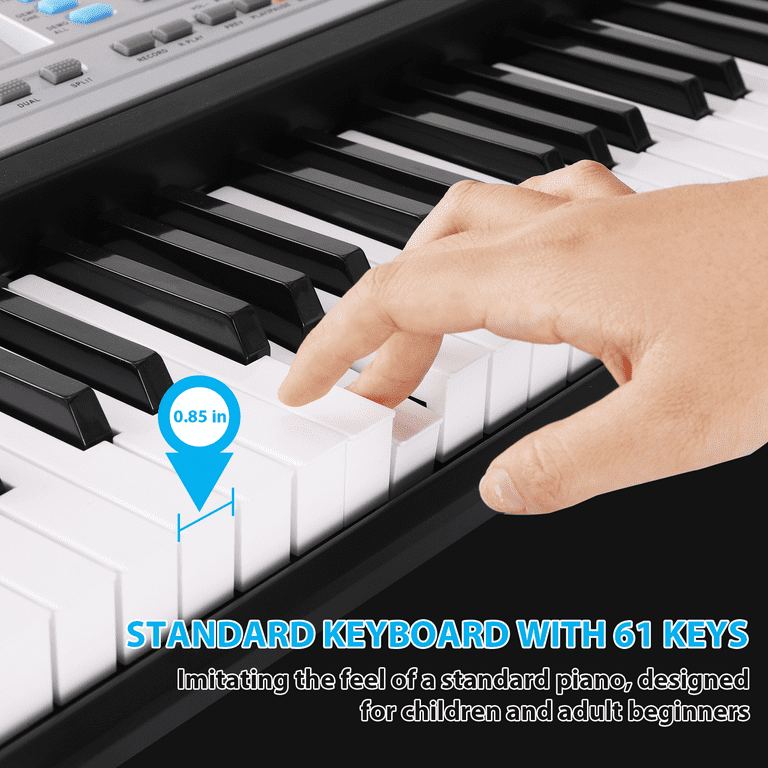 鍵盤楽器 paradiddle 鍵盤楽器 paradiddle 鍵盤楽器 paradiddle 鍵盤楽器 paradiddle ZX