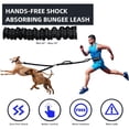 thumbnail image 5 of TIOVERY Hands Free Double Dog Leash with Pouch, Dual Leash for 2 Dogs with Reflective Padded Handles, Durable Bungee and Lumbar Waist Belt for Walking, Jogging and Running (Medium/Large, 25-120 lbs), 5 of 8