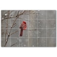 thumbnail image 1 of Picture-Tiles.com: Bird Ceramic Tile Wall Mural WAL500141-64M. 36"W x 24"H using (24) 6" x 6" Ceramic Tiles-Satin Finish, 1 of 3