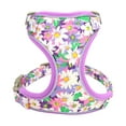 thumbnail image 4 of Beirui Floral Pet Dog Cat Harness Reflective Soft Air Mesh Walking Vest for Small Large Dogs, 4 of 5