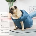 thumbnail image 2 of YYV Pet Dryer Automatic Drying Bag Portable Pet Hair Dryer Bag For Dogs Cats Teddy Corgi Grooming Fast Drying Safe Soft Pet Care Drying Machine Accessory, 2 of 9