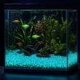 thumbnail image 4 of BUERCWS Glow in The Dark Garden Stones - 200pcs Luminous Landscape Rocks For Pathway, Solar Powered Outdoor Decor Yard Lights, 4 of 6