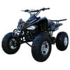 Coolster 150cc ATV 3150CXC (Full-Size)