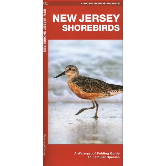 New Jersey Shorebirds : A Waterproof Folding Guide to Familiar Species (Paperback)