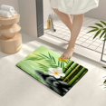 thumbnail image 4 of Shiartex Diatom Mud Mat Floor Mat Indoor Outdoor Bamboo Tree Flower for Home Entrance Outside Entry 24x16in, 4 of 5