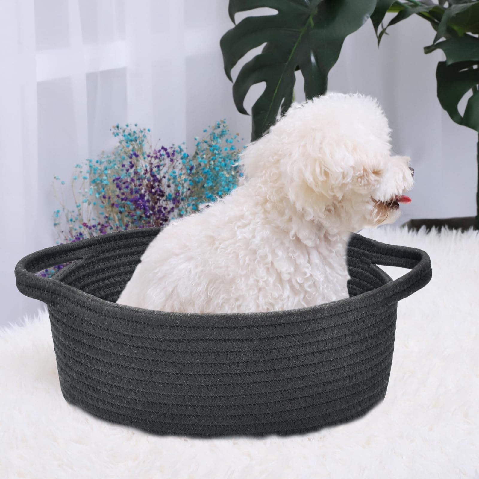 Small Basket with Handles, Boho Decorative Rope Woven Storage Bin Organizer, Pet Toy Storage, Easter and Holiday Gift Basket, 12"x8"x5", White